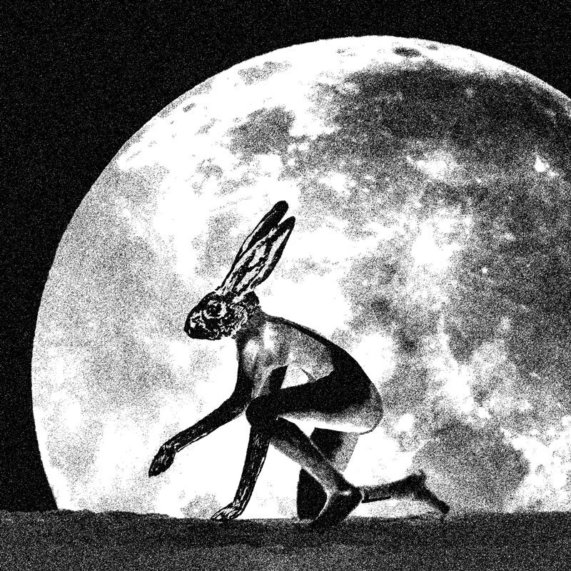 HARE MOON