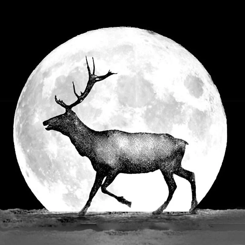 Stag Moon
