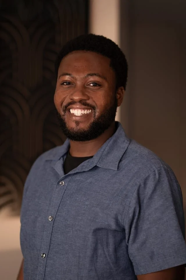 professional web developer