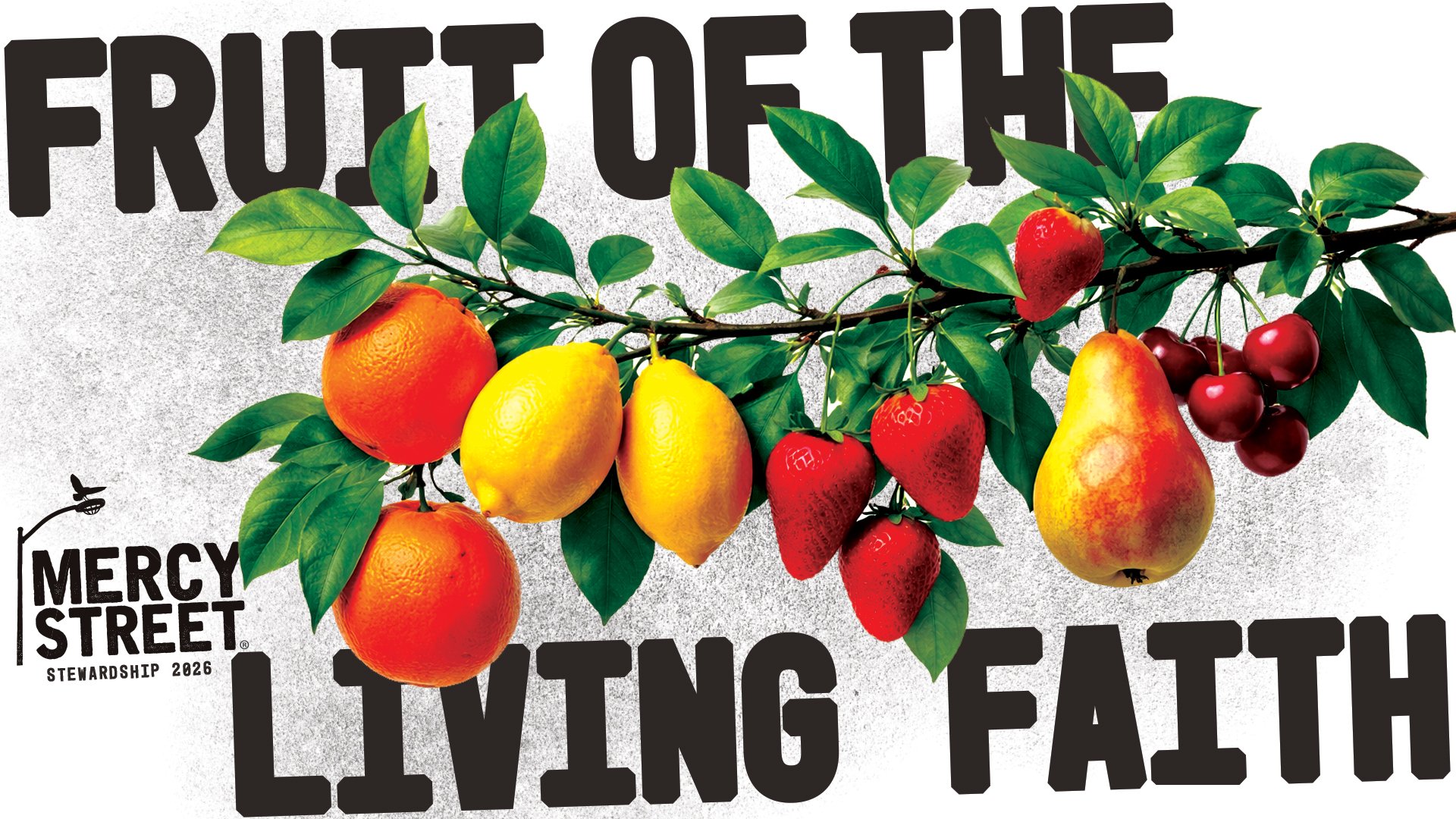 Saturday Series: Fruit of The Living Faith
