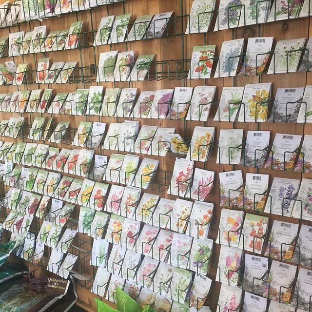 These seed packets were gorgeous! Art themselves!! #grow #create #inspire