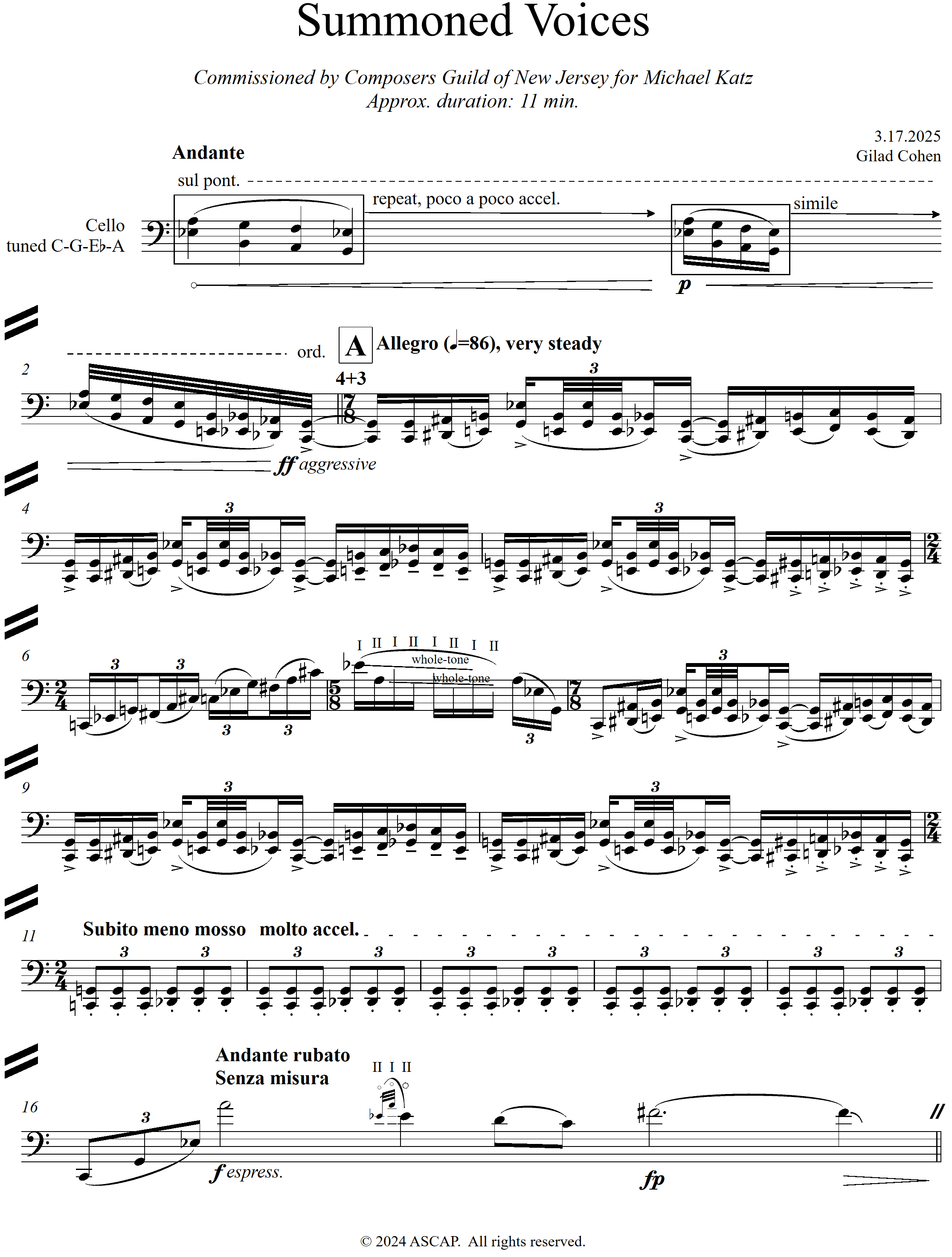 Summoned Voices (hard copy)