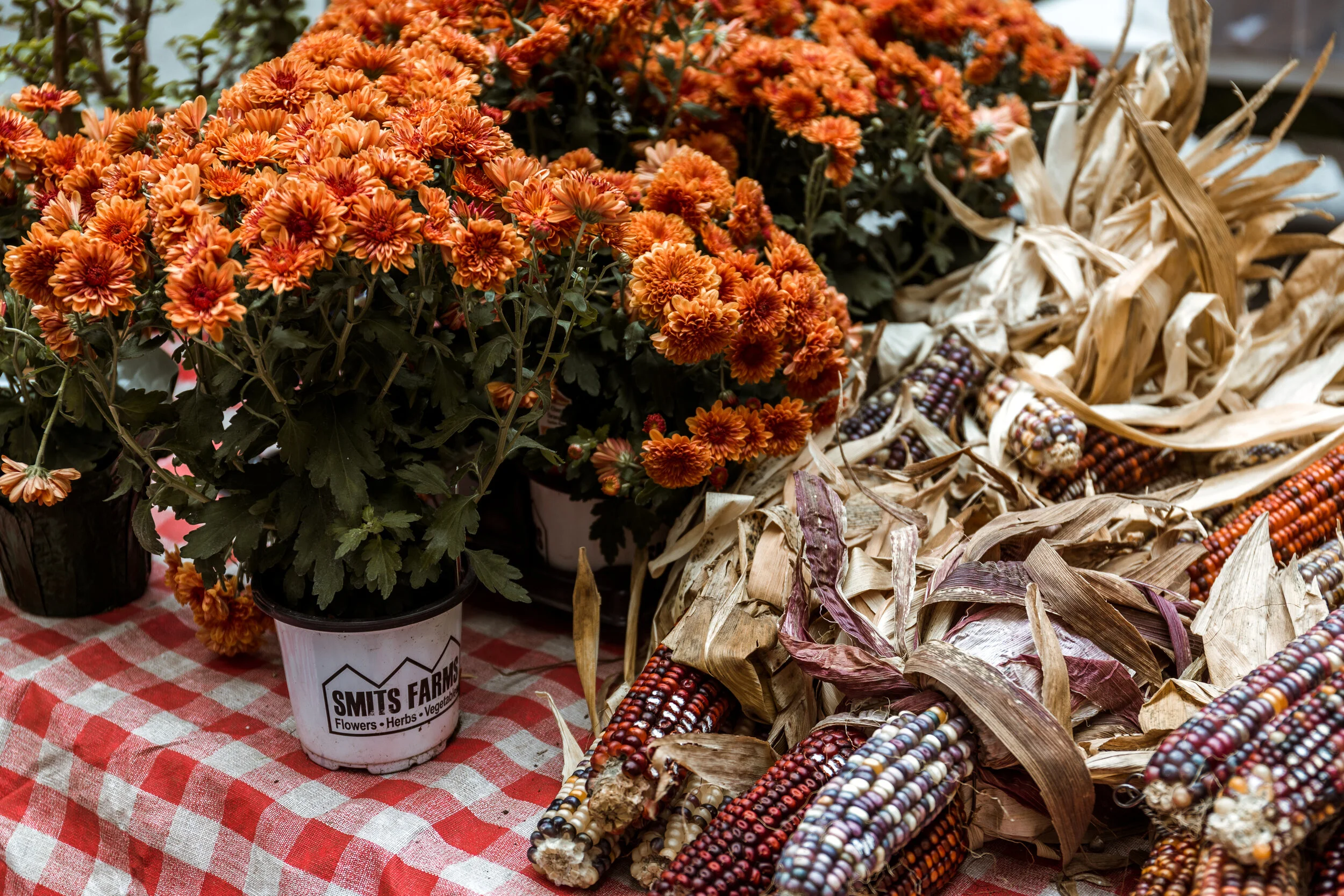 Turkey Day Tablescapes