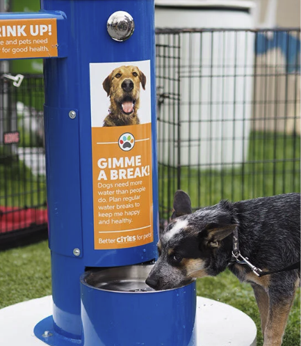 Adapting Urban Environments for City Pets: A Q&amp;A about Pet-Friendly&nbsp;Communities