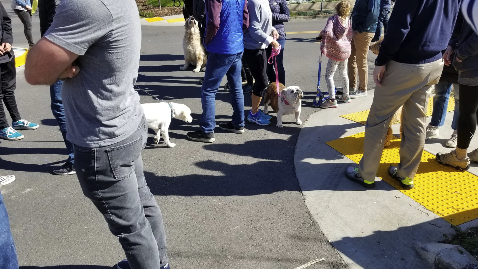 Screen Shot 2026-02-04 at 12.07.32 PM.png