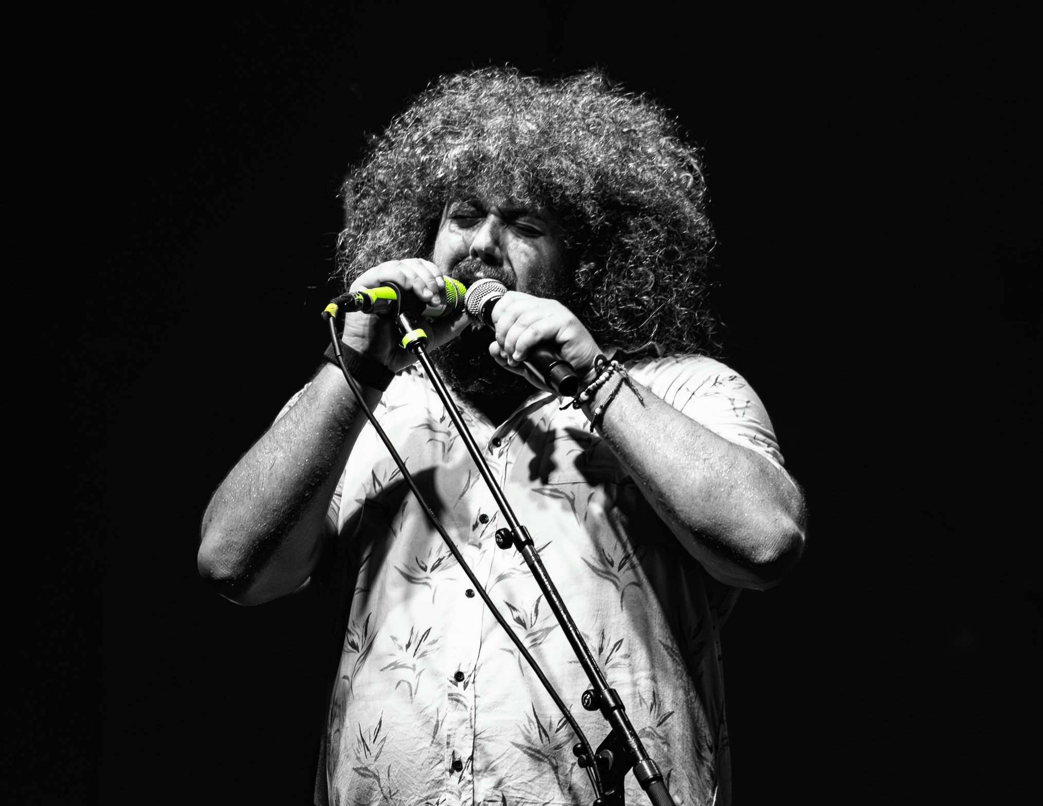 St. Petersburg Florida Gets Ripe: A Night of Unforgettable Sweetness and Sound