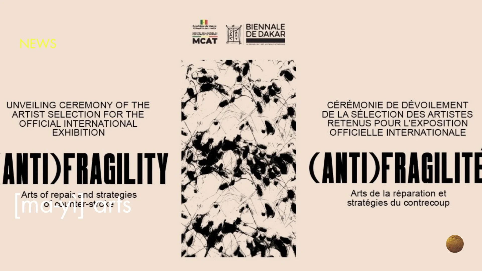 Dakar Biennale 2026 : (Anti)Fragility: Arts of Repair and Counter-Shock Strategies,  The Selected Artists