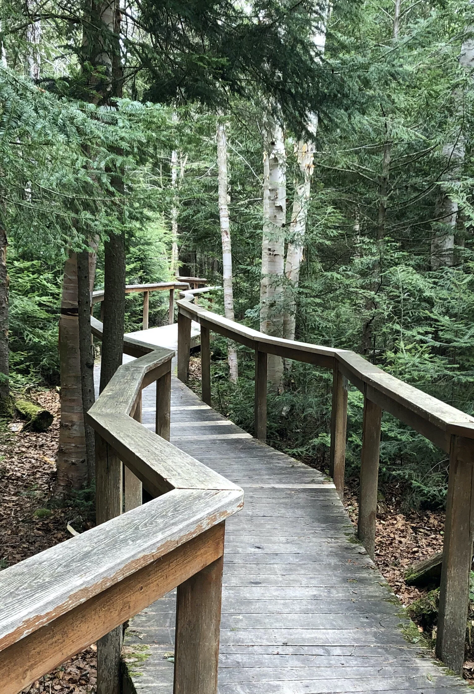 Spring 2021 Bible studies