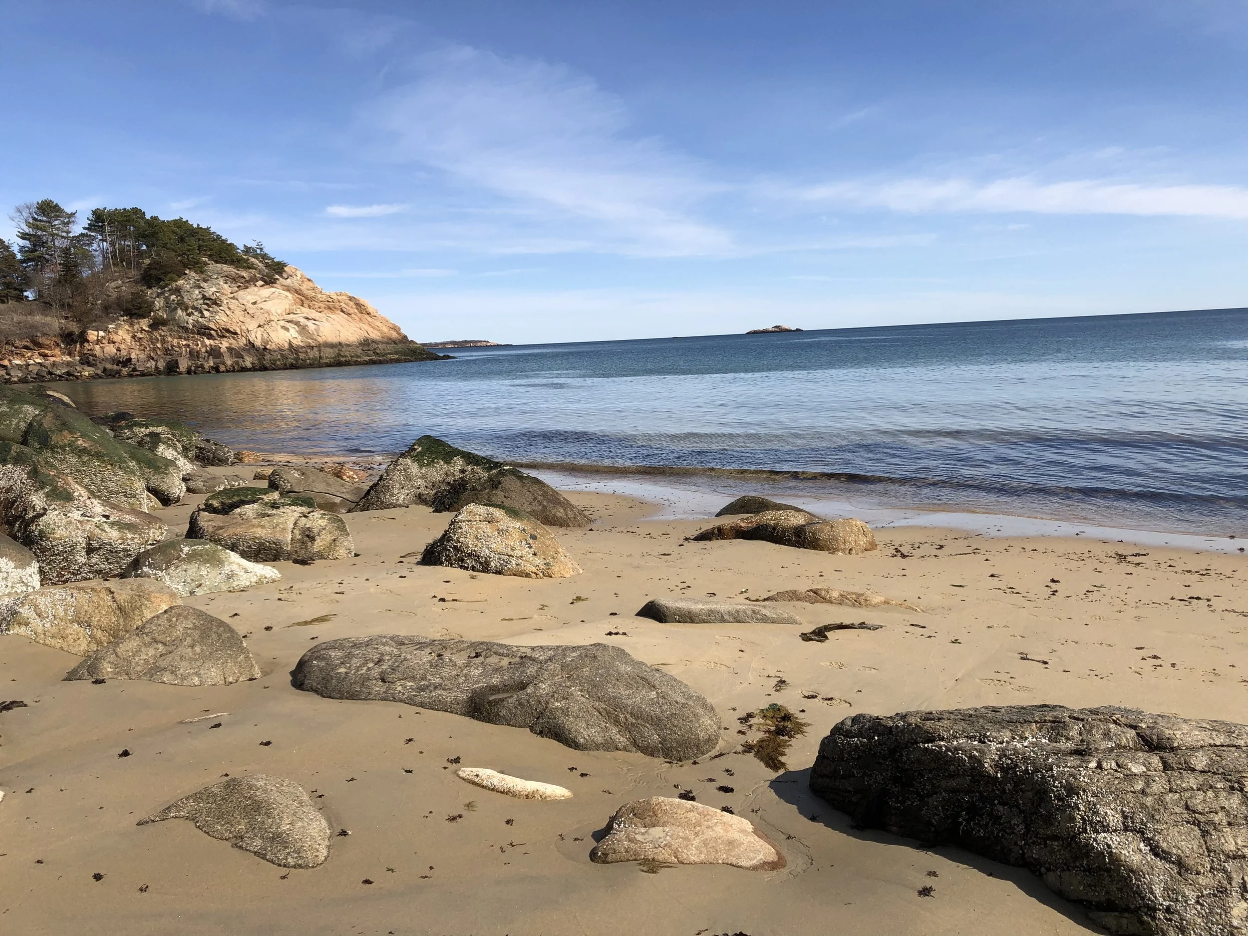 Bible Studies and Social Work Courses