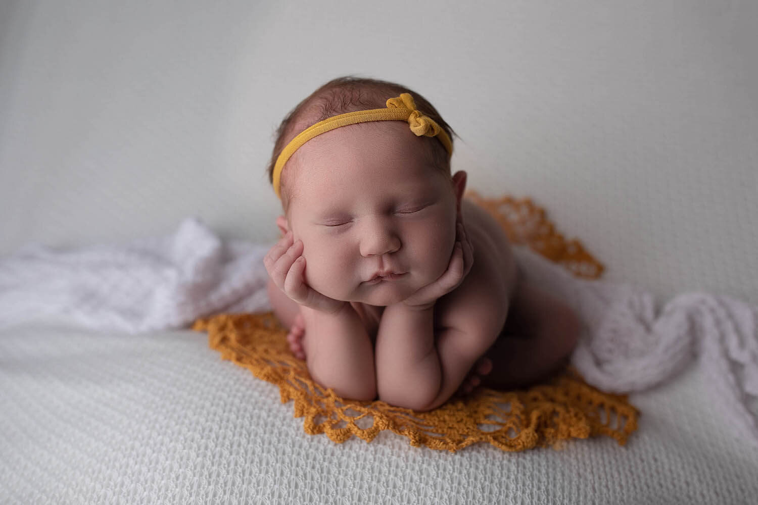 Michigan Baby Photographer