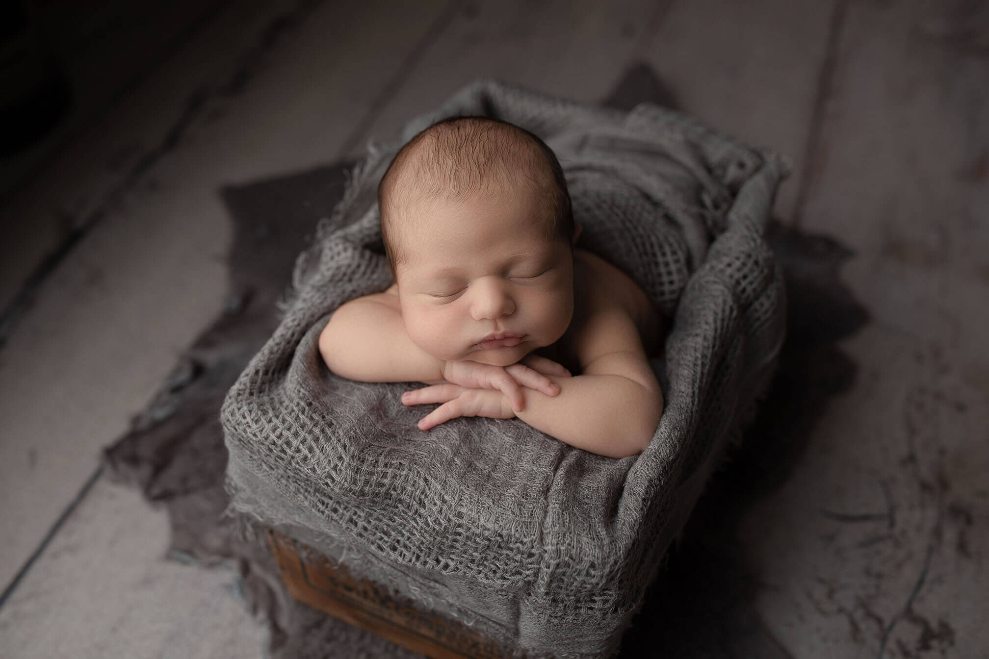 Michigan Newborn Photography