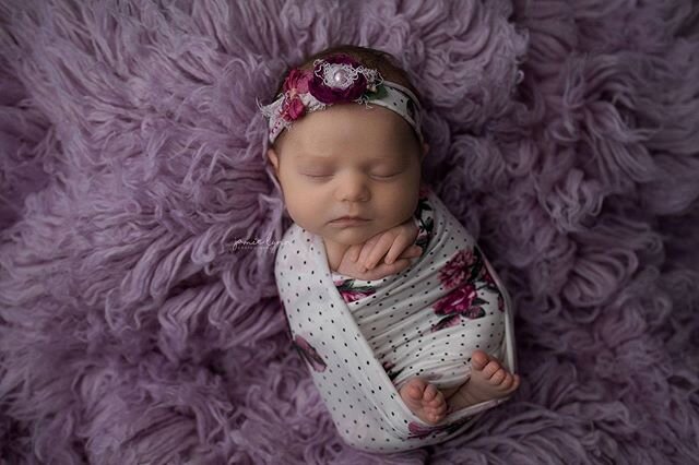 I love purple for baby girls! #newbornbaby #newbornphotography #newborngirl #purple #midmichiganphotographer #midlandmichigannewbornphotographer #bookingnewbornsessions