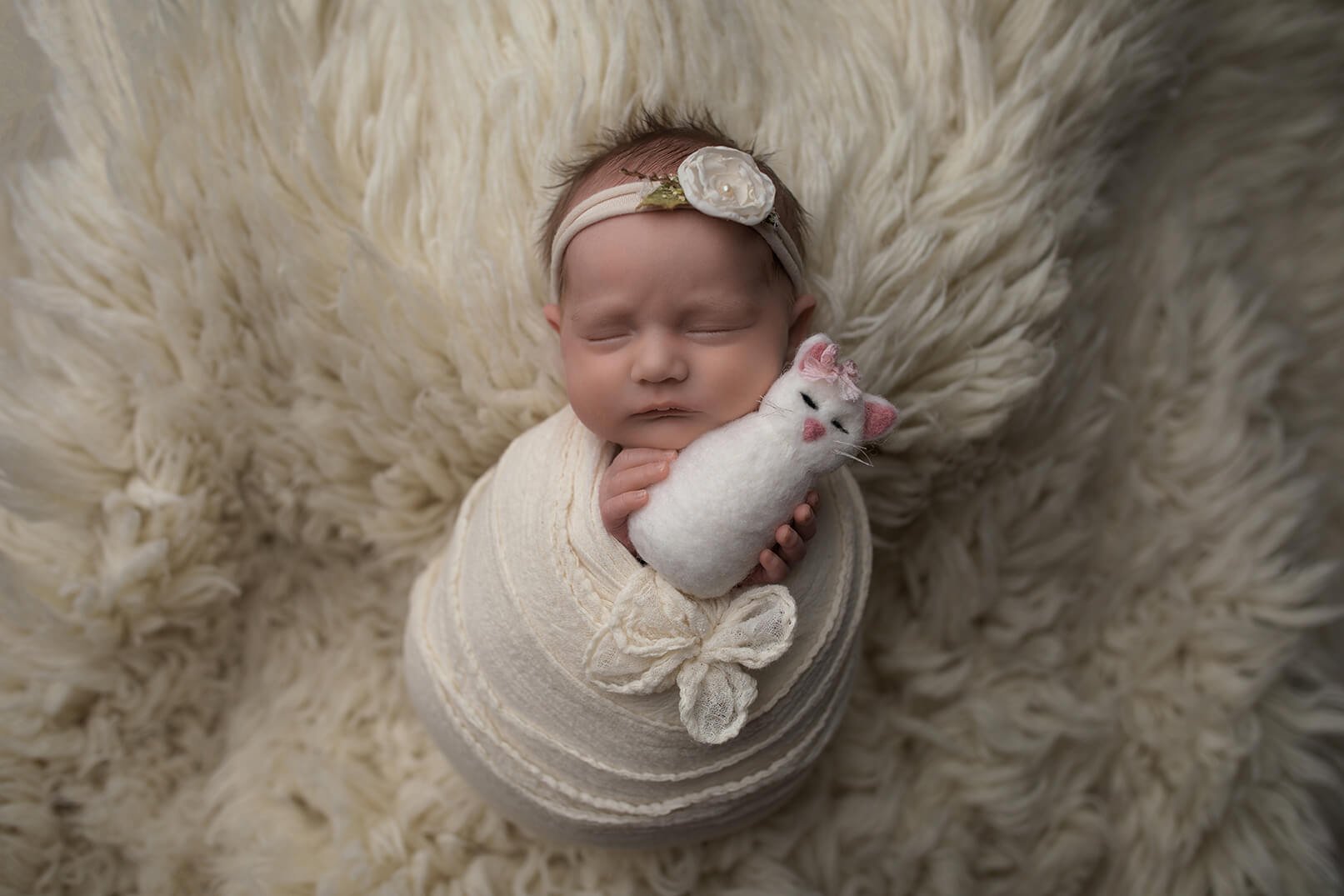 Surrogacy Story Newborn Photographer in Mt. Pleasant, MI.jpg