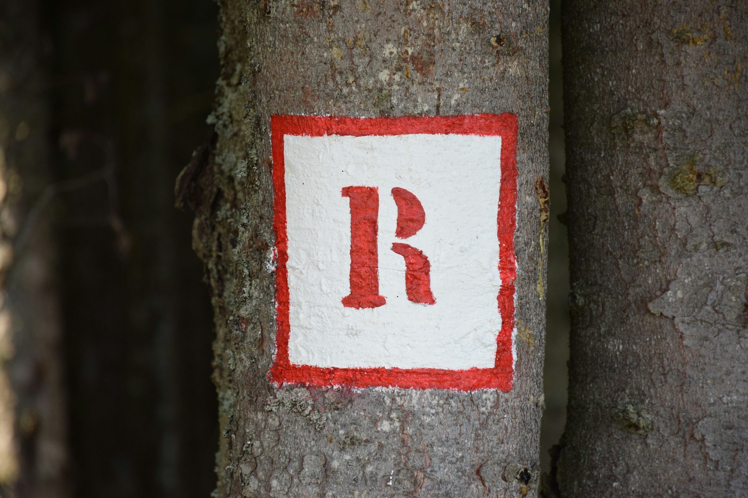 The Five R’s