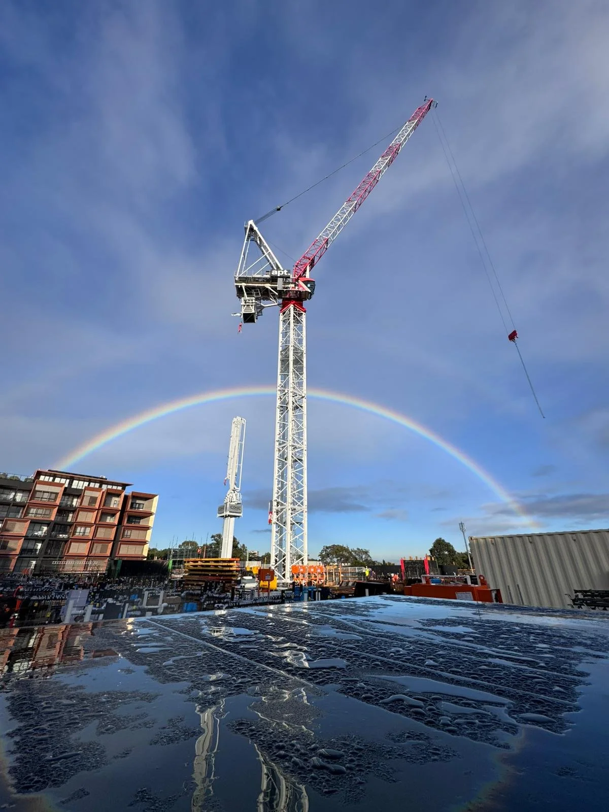 Check out this stunning shot of our crane, captured by the crew on-site at apt.Residential and @buildcorpgroup&rsquo;s build-to-rent project in Meadowbank! 

#redsglobal #teamreds #thesafechoiceinconstructionhire #cranes #construction