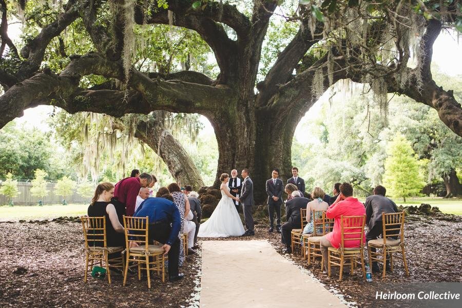Intimate Ceremony Tree of Life