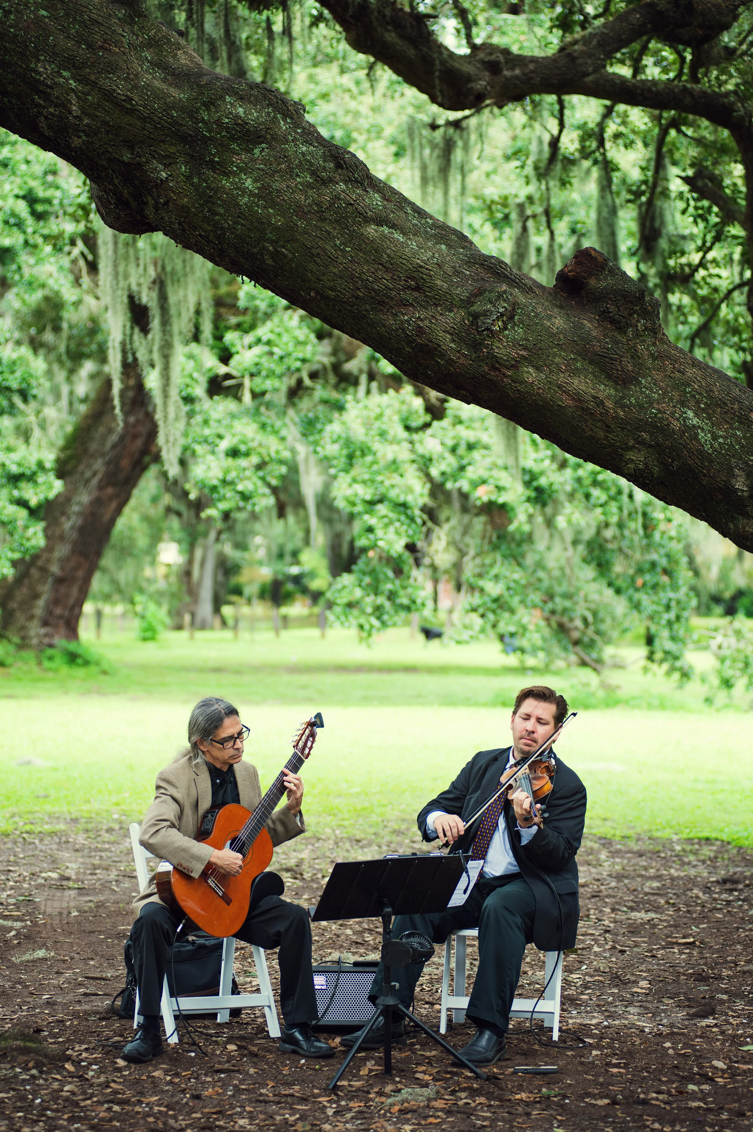 Ceremony Musicians at the Tree of Life