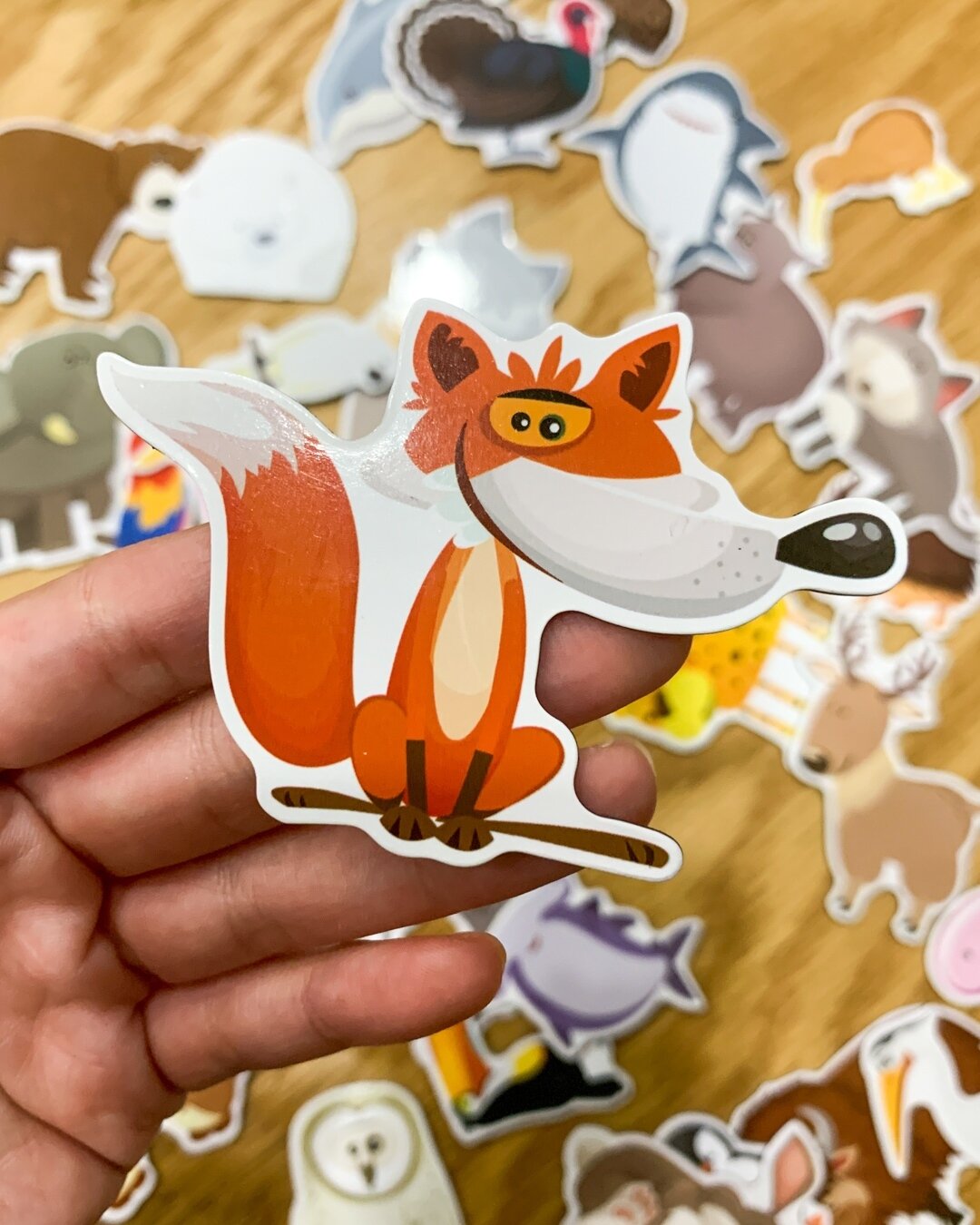 #DidYouKnow that red foxes have superb hearing? They use it to track down their prey from far away! #FactOfTheDay⁠
⁠
Featured: [Set 1A] Animals &amp; Continents 1⁠
.⁠
.⁠
.⁠
#homedecor #magnets #educational #STEM #interiordecor #familytime #playathome