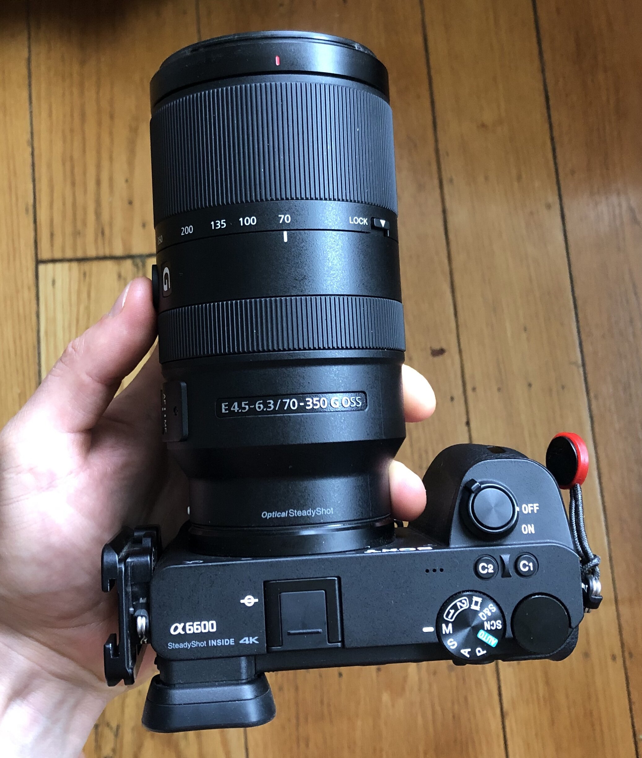 Sony A6600 Review: A Small but Mighty Mirrorless for Wildlife