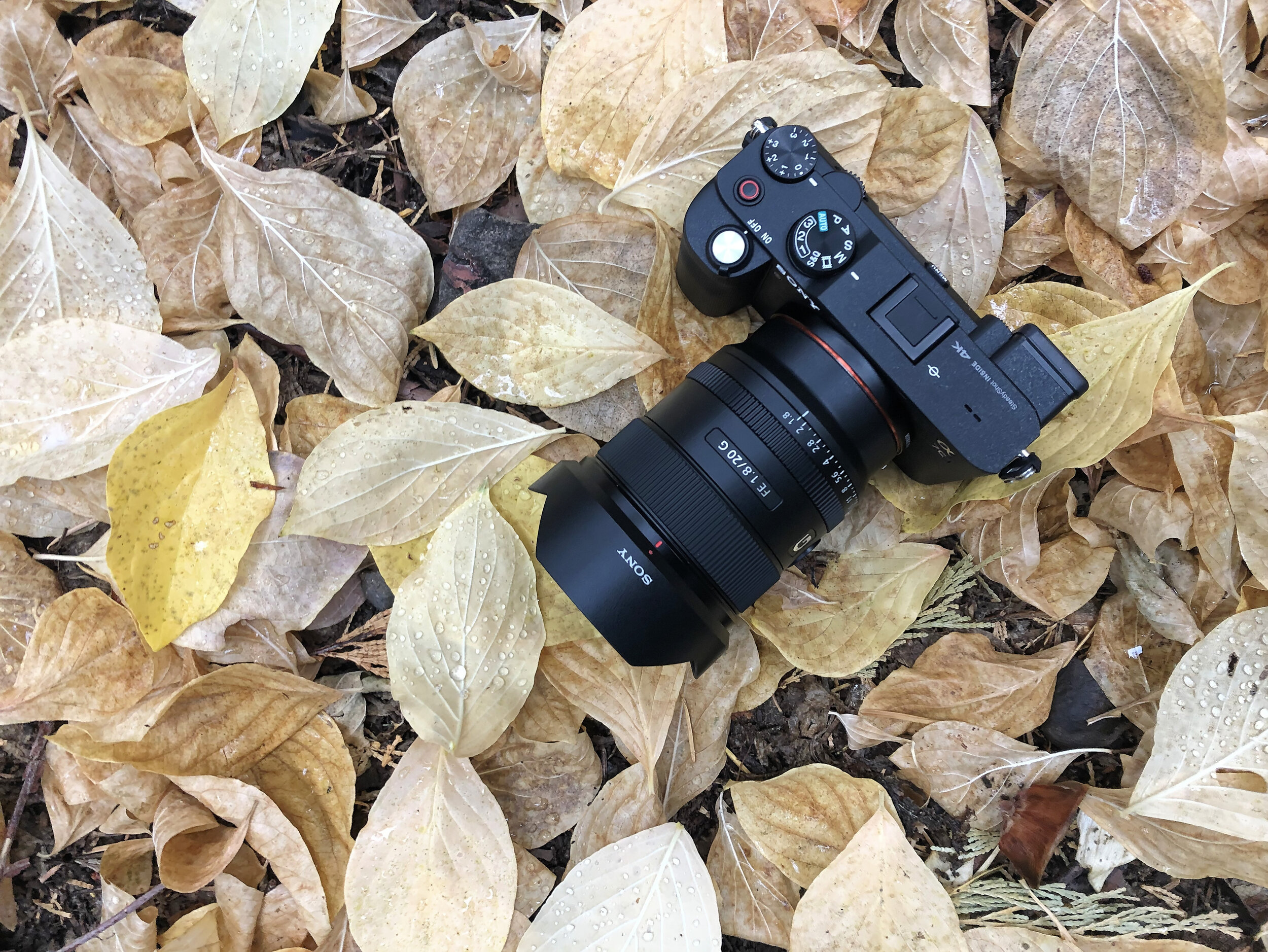 Sony a7C Review: It's all about the packaging. — Oxbow Photography
