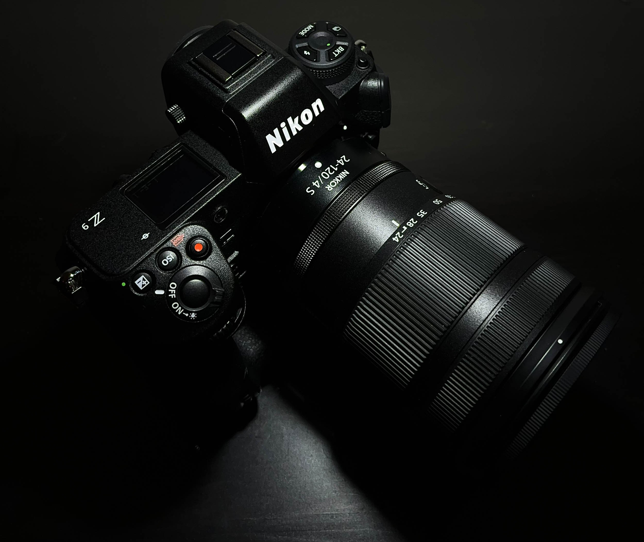 Nikon Z9 for Wildlife Photography - Initial Field Review — Oxbow Photography