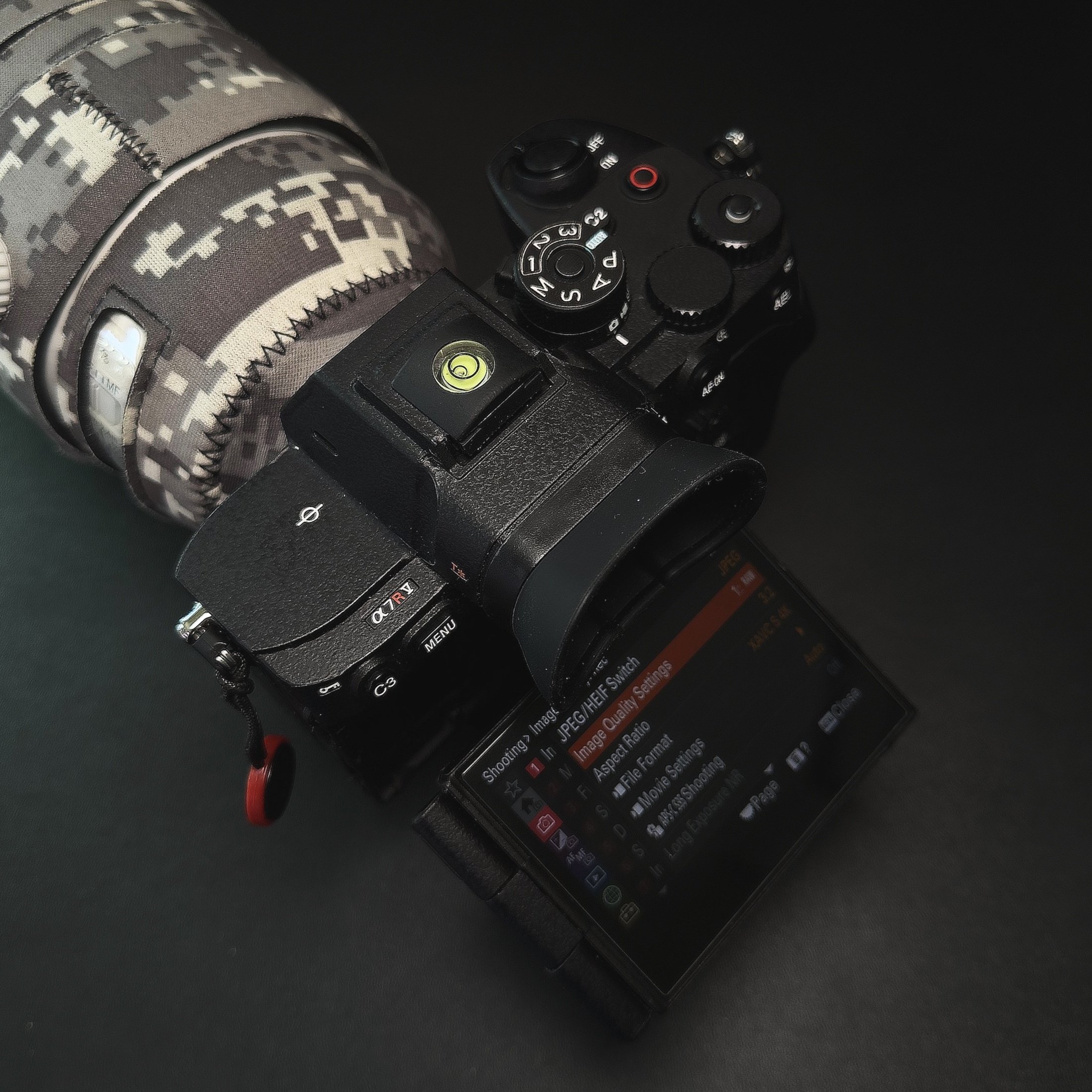 Sony A7RV and FE 200-600 F5.6-6.3 G OSS Lens Review - For the Wildlife  Shooter — Oxbow Photography