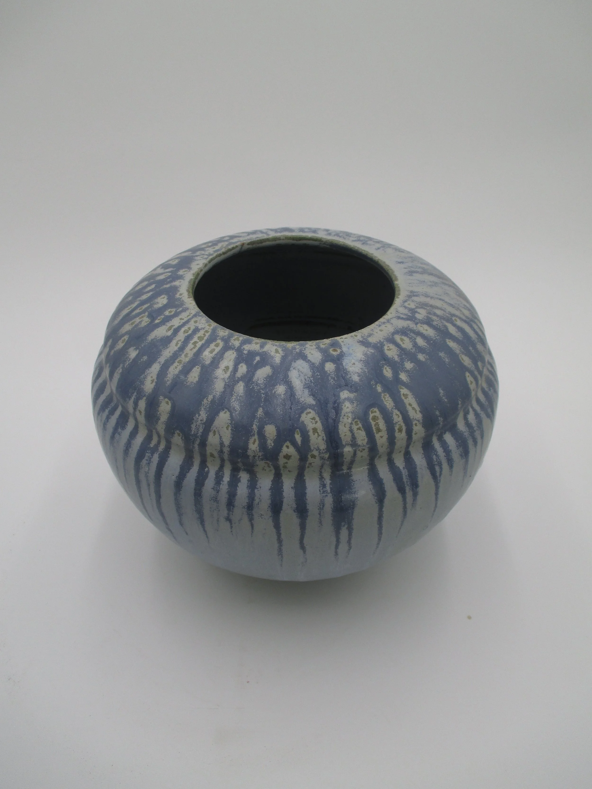 Whale Shark Vessel