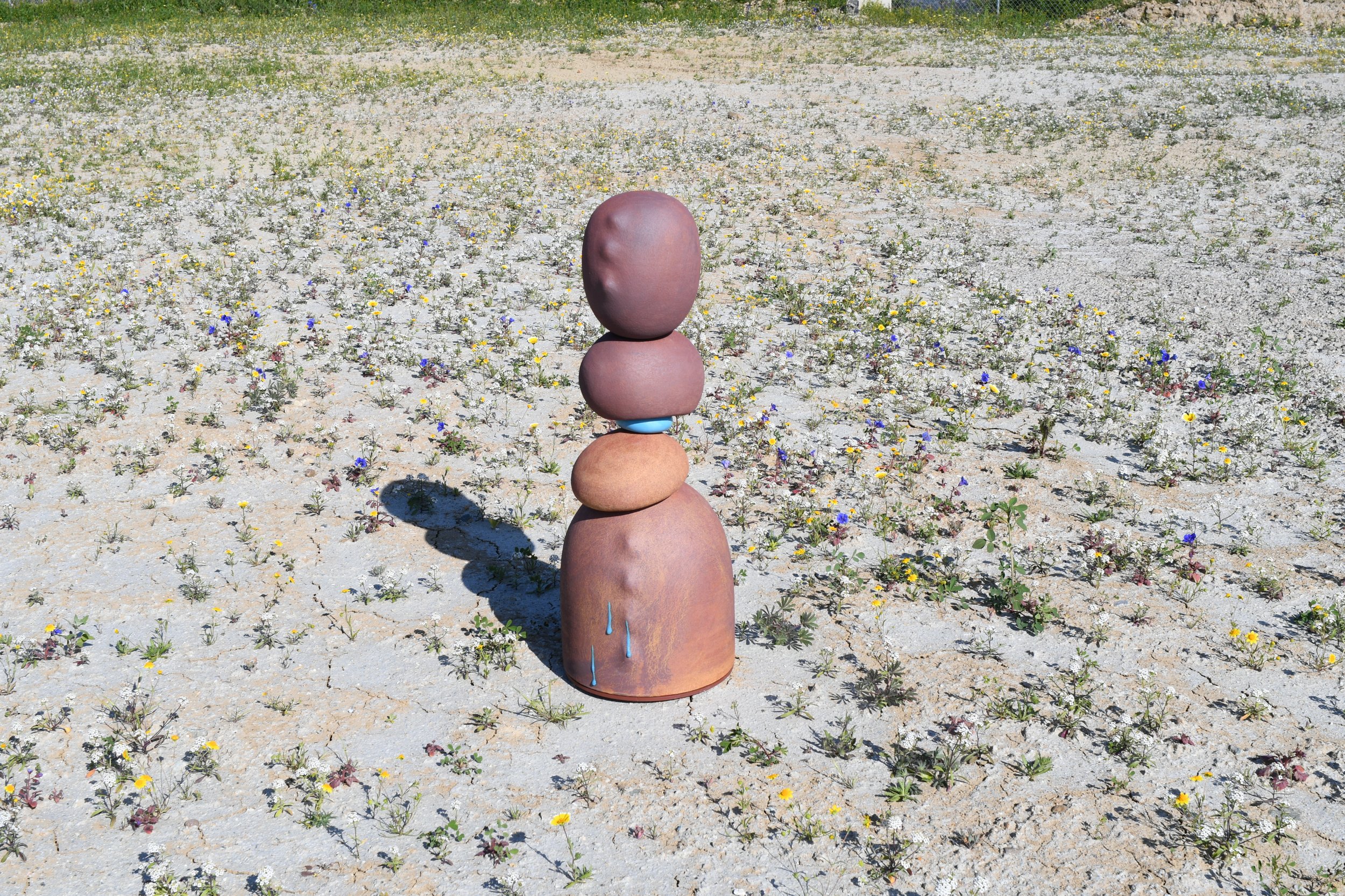 DSC_3220.JPG