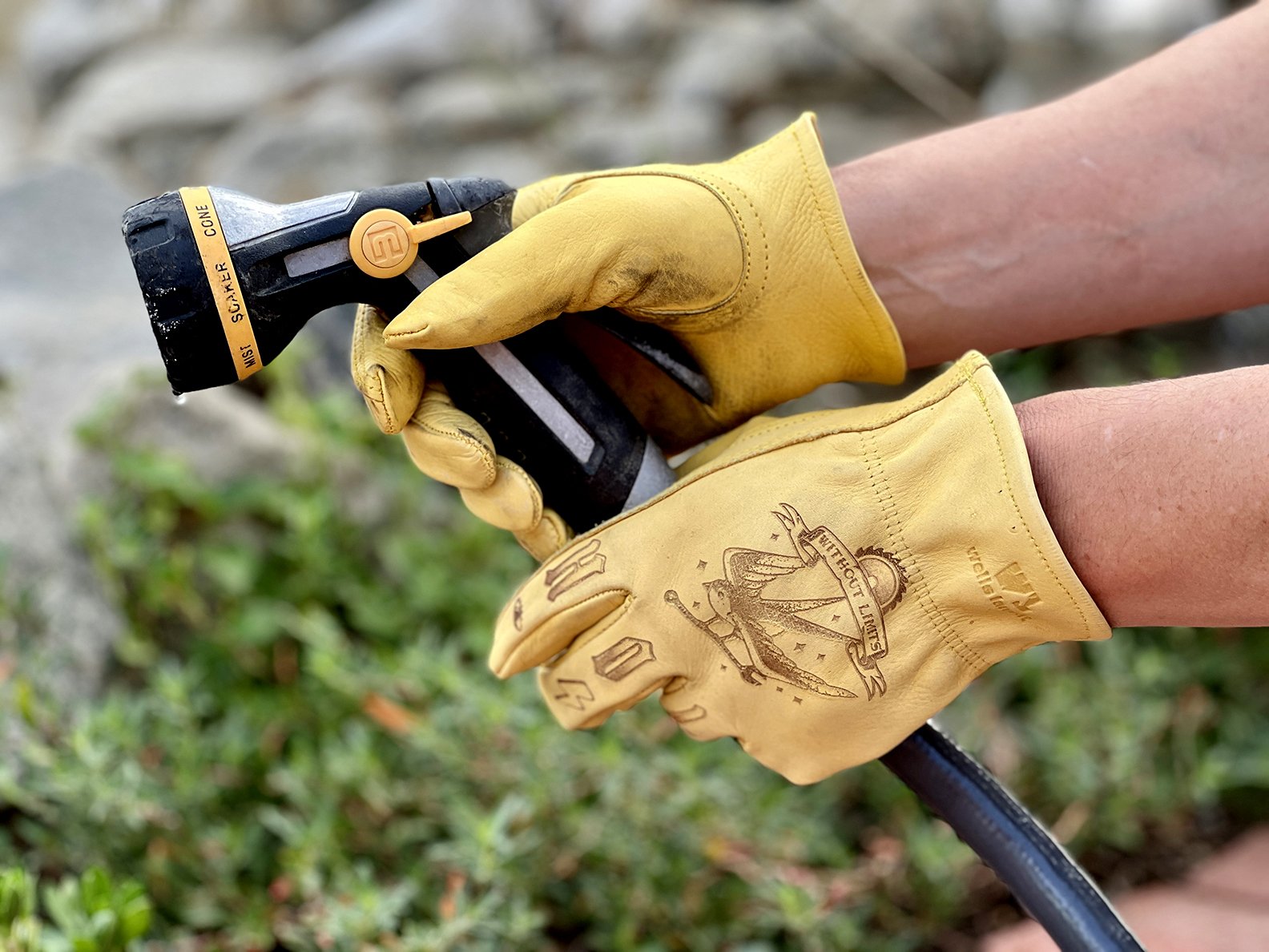 FREE GLOVES