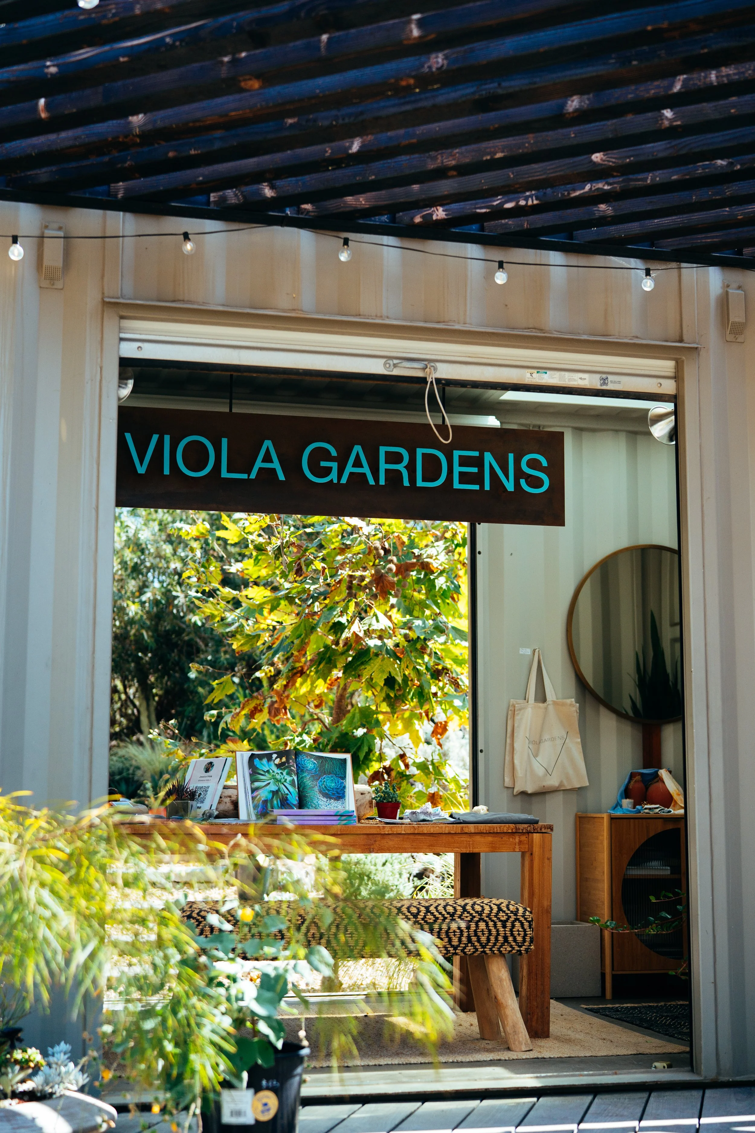 VIOLA_GARDENS
