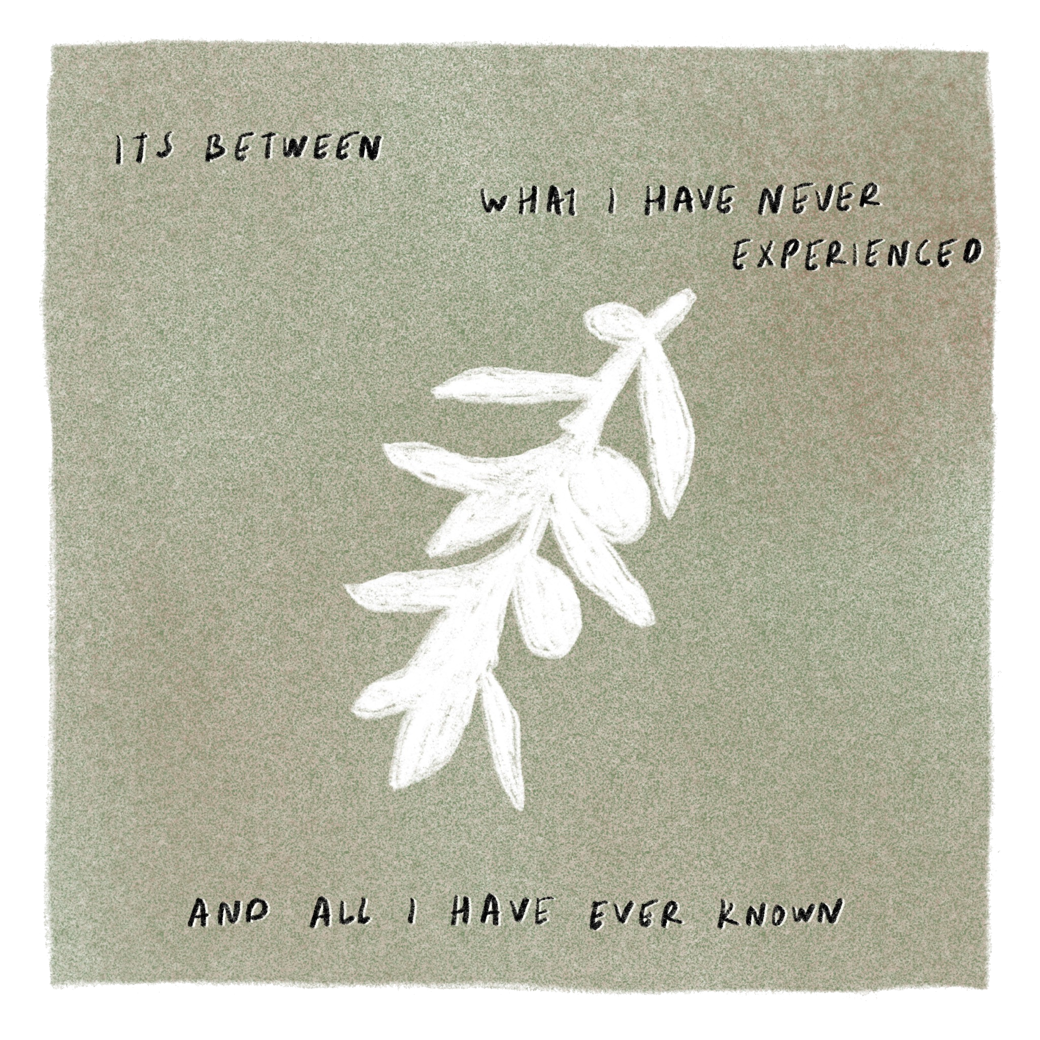 Illustration by Beyza.