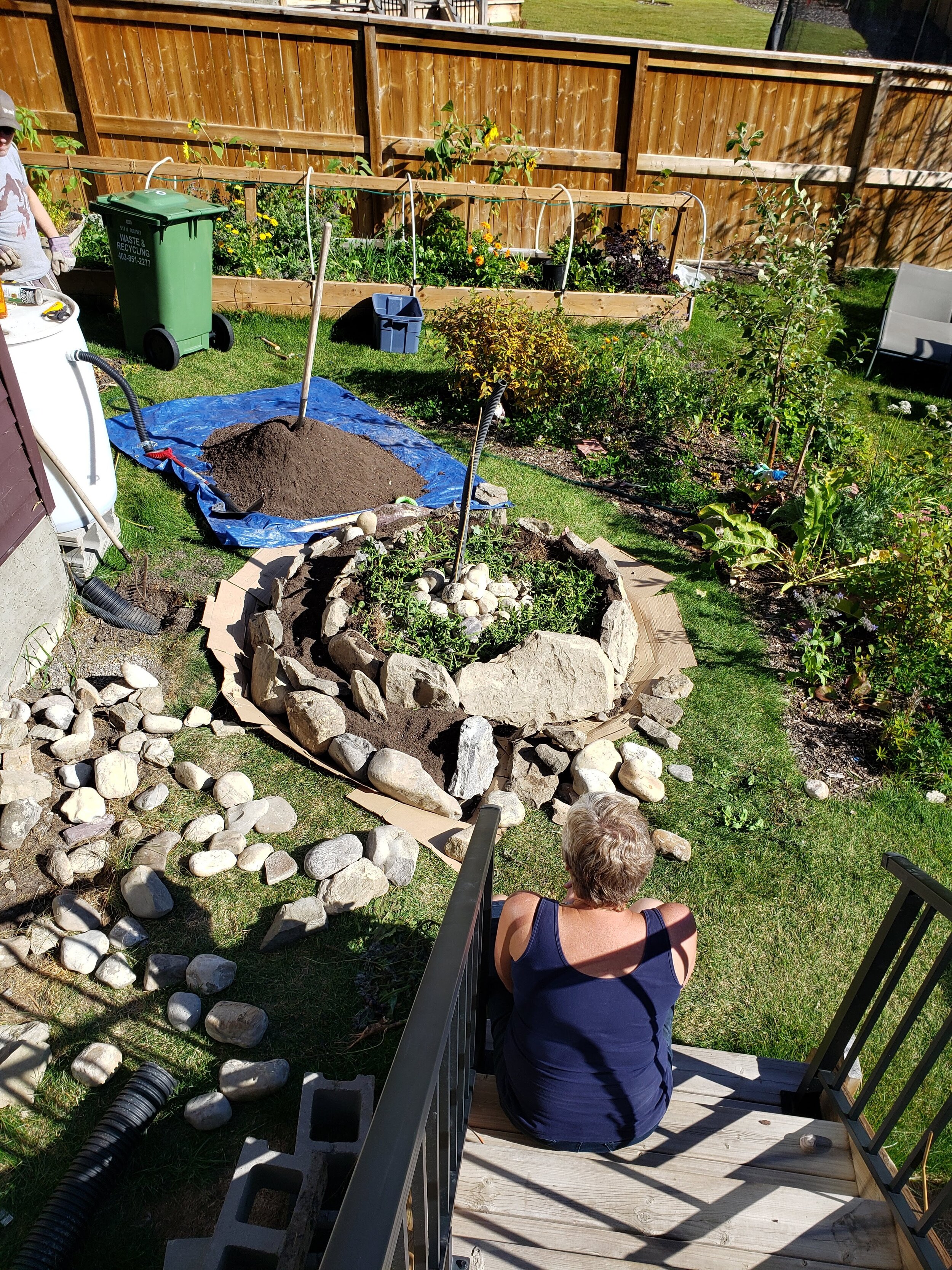 Adding rocks and some 'green manure' to the centre of the spiral. 