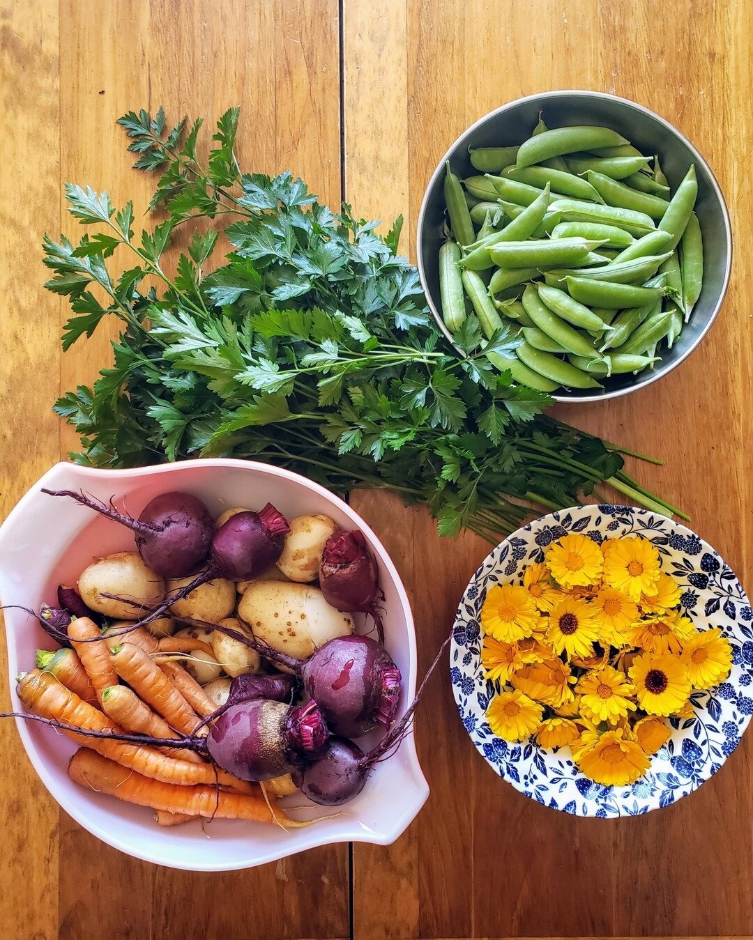 My favourite thing to do on a summer Sunday afternoon is to wander around the garden searching for food that's ready to eat. Then I plan a menu around my discoveries.⠀⠀⠀⠀⠀⠀⠀⠀⠀
.⠀⠀⠀⠀⠀⠀⠀⠀⠀
The parsley was begging to be chimichurri sauce, so we decided 