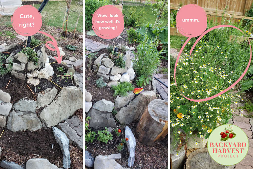 How to Plant a Herb Spiral — Backyard Harvest Project