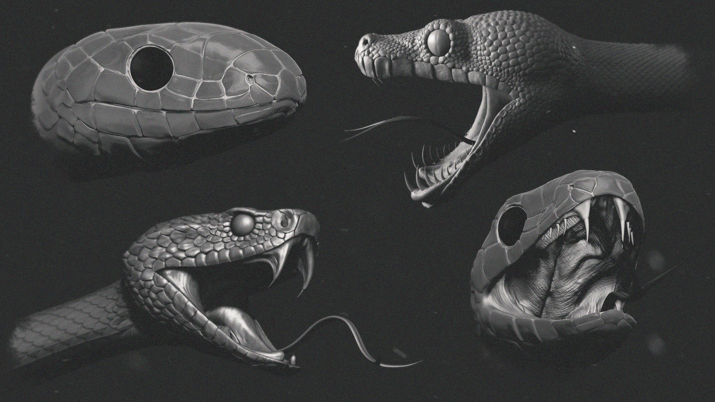 snakeHeadModel.png