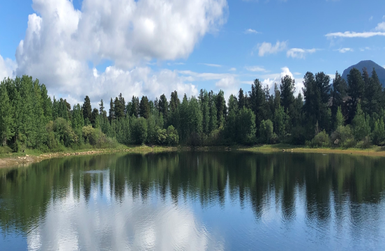 Dory Lakes POA Board Meeting