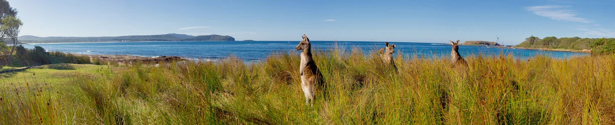 Main Image Banner.jpeg