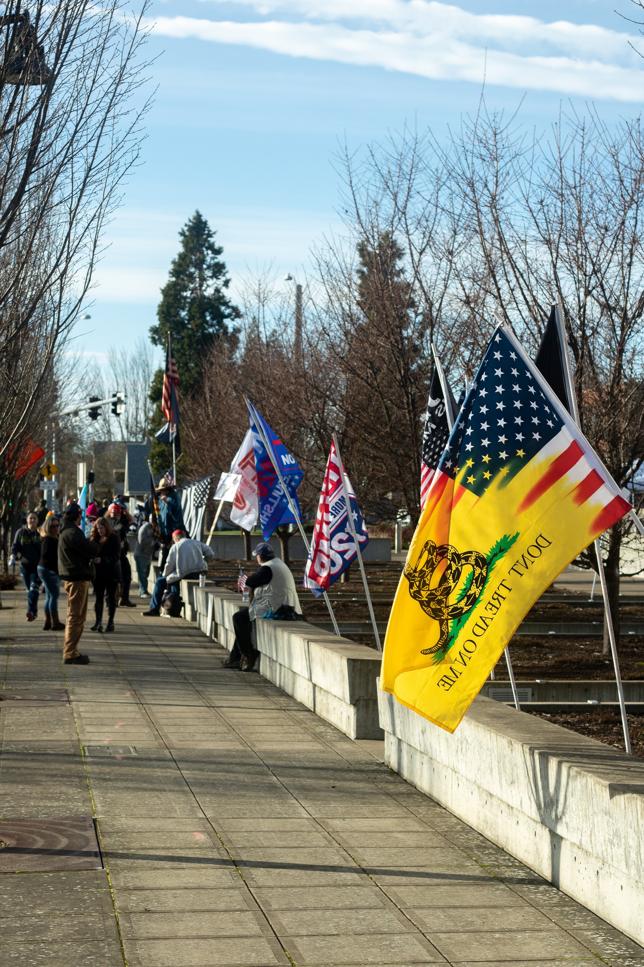 An array of flags lines the road that passes in front of the Eugene Federal Courthouse during a protest on January 9th. A pro-Trump rally was held at Wayne Morse United States Courthouse in Eugene, Ore., on Jan. 9, 2021, in response to the riot that