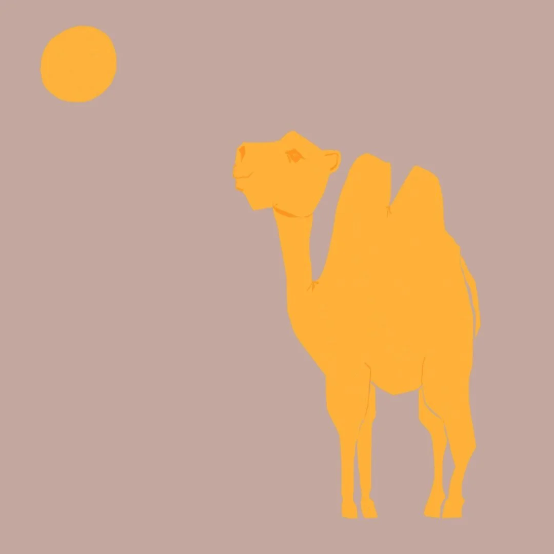 Animal Studies

The soul of the camel is in the eyes.  Those wistful, pondering eyes shared by bovines, equines, giraffes and other emotionally intelligent species. 

While the camel is widely considered to be  moody, even cantankerous at times, thes