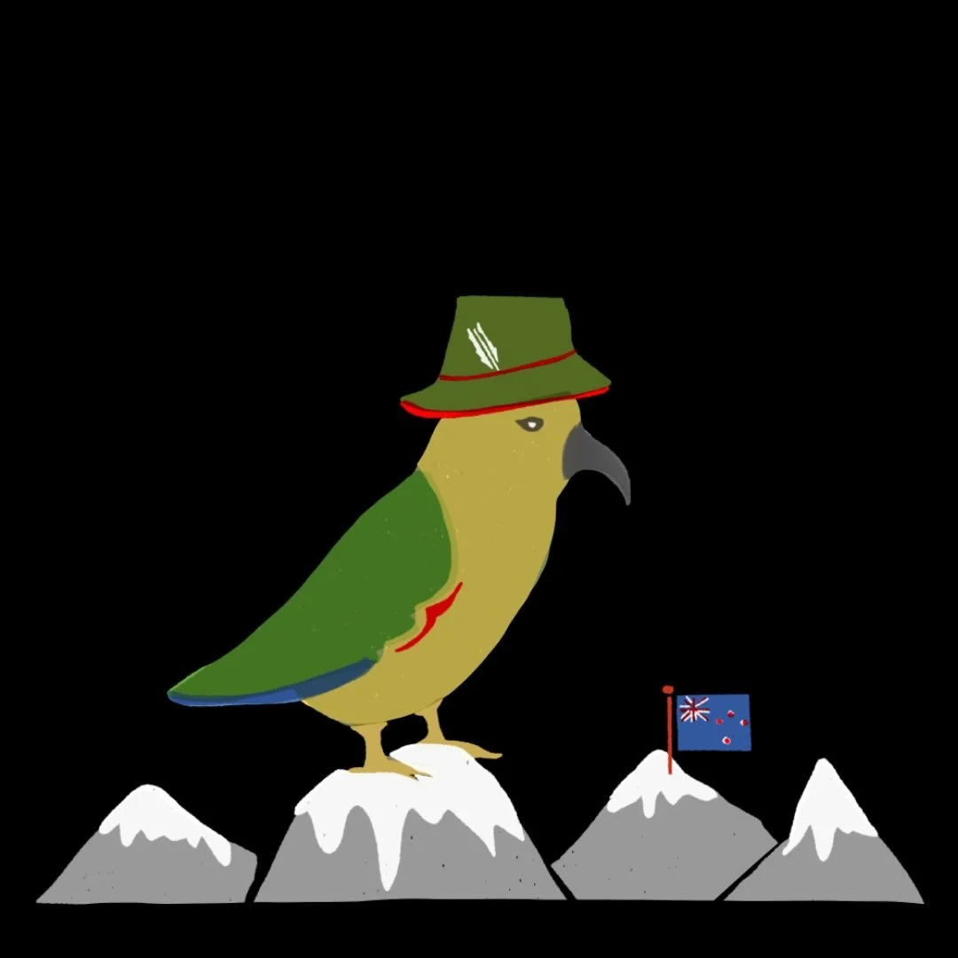 Kea / a roguish character, gifted in the art of hijinx and prone to petty theft, is the world&rsquo;s only known alpine parrot. The Kea is endemic to the South Island of New Zealand where it can regularly be observed soaring over high peaks, and pilf