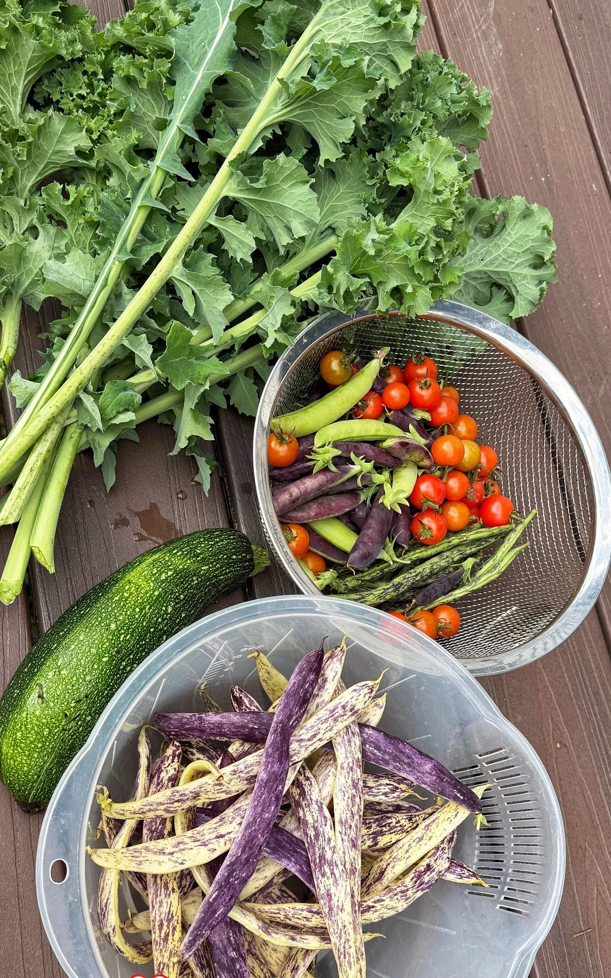Things I learned from my garden this year