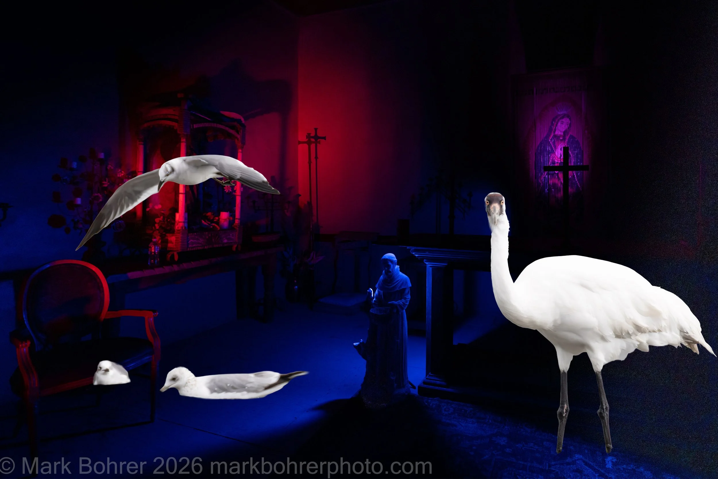 Whoopers and Ghost Towns