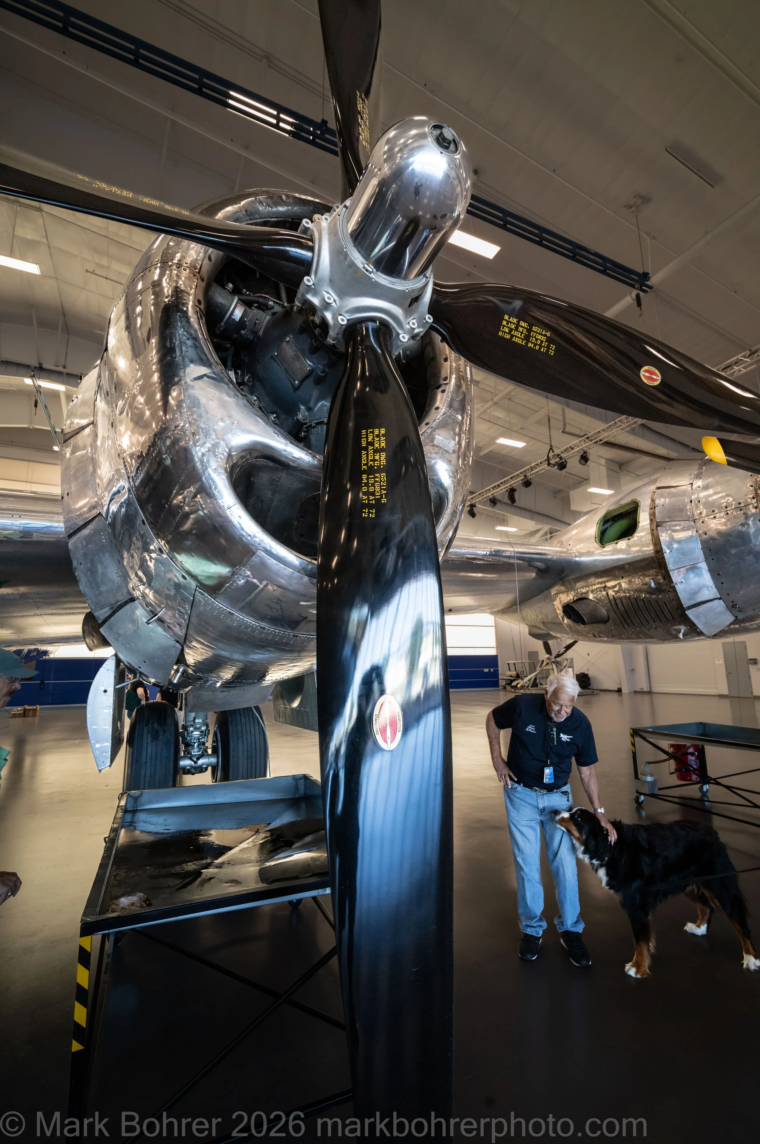 B-29 Doc is pretty big - one engine next to a guide and a Bernese Mountain Dog