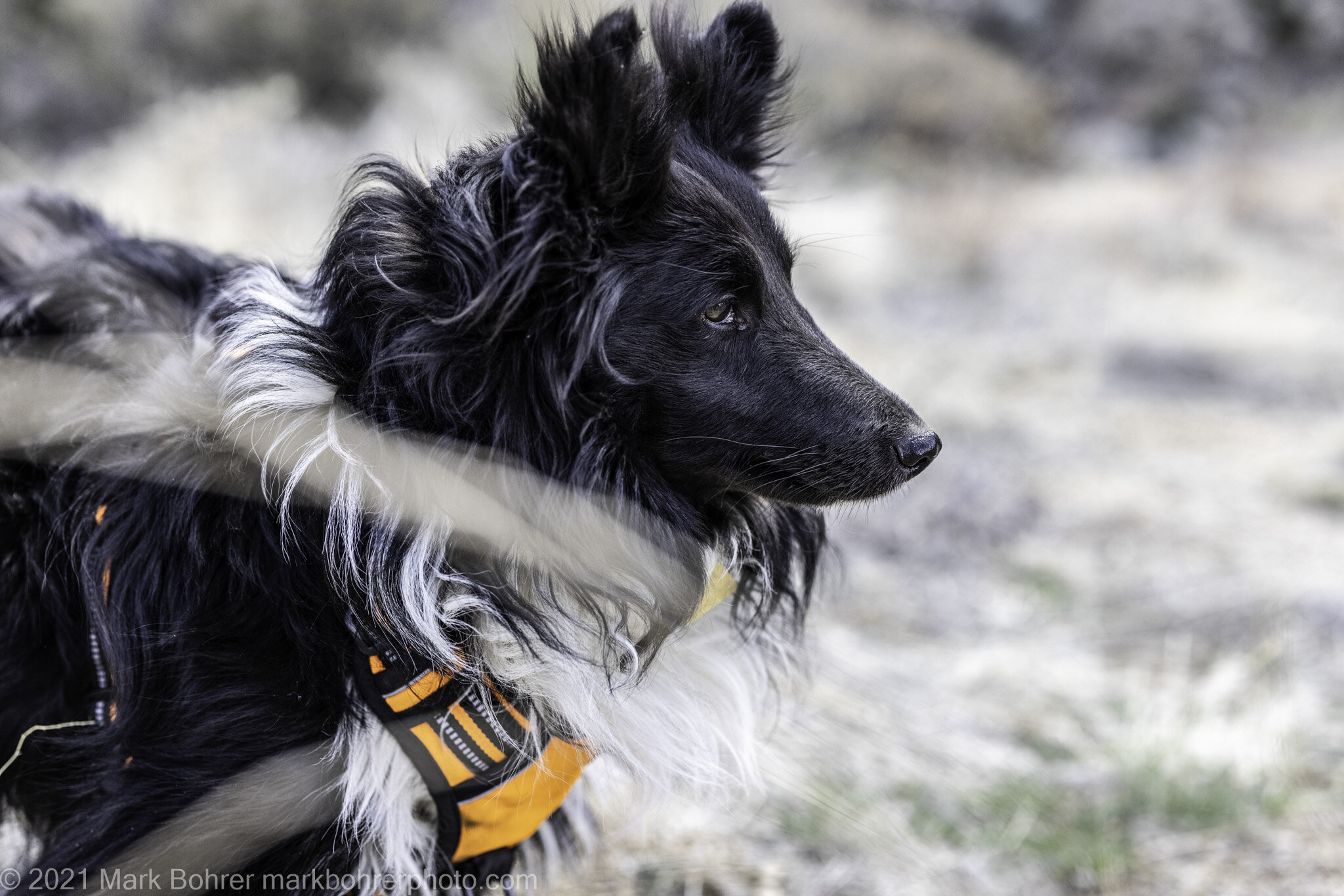 Concentrating at Embudito Canyon