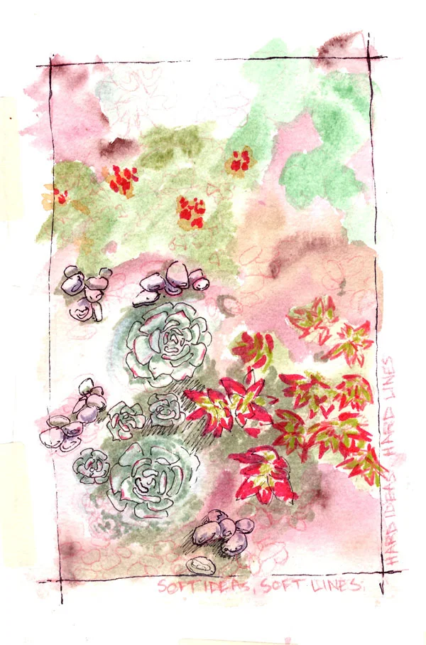 softlines-succulent-web.jpg