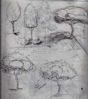 sketch-trees-0131.jpg