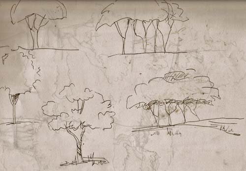 sketch-trees-0121.jpg