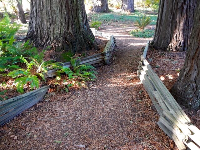 tilden-fence5.jpg