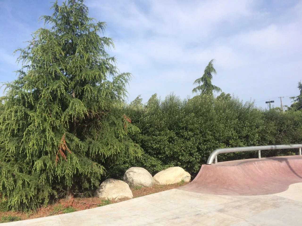 New Skatepark Landscape Wild Things Garden Design