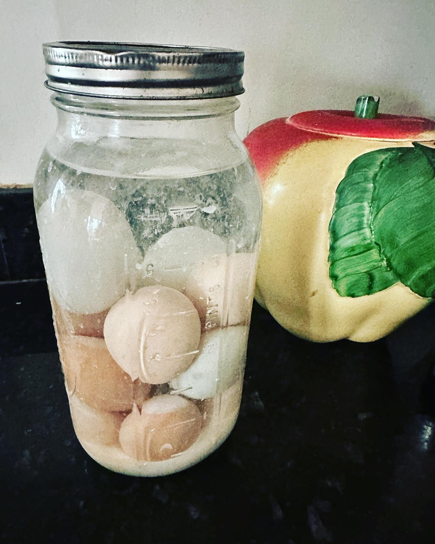 Canned fresh eggs. I put these up last summer in lime pickle and stashed them in a dark corner. Scrambled a few up this morning and they were perfect! #canning #homestead #backyardchickens